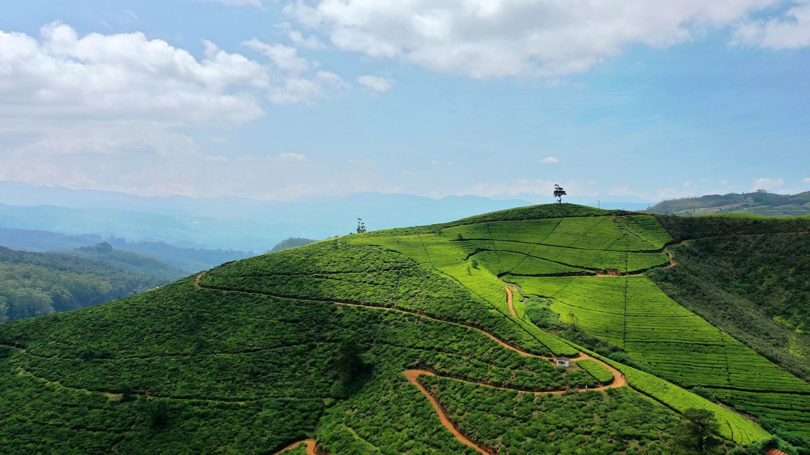 Ceylon tea country & hill stations
