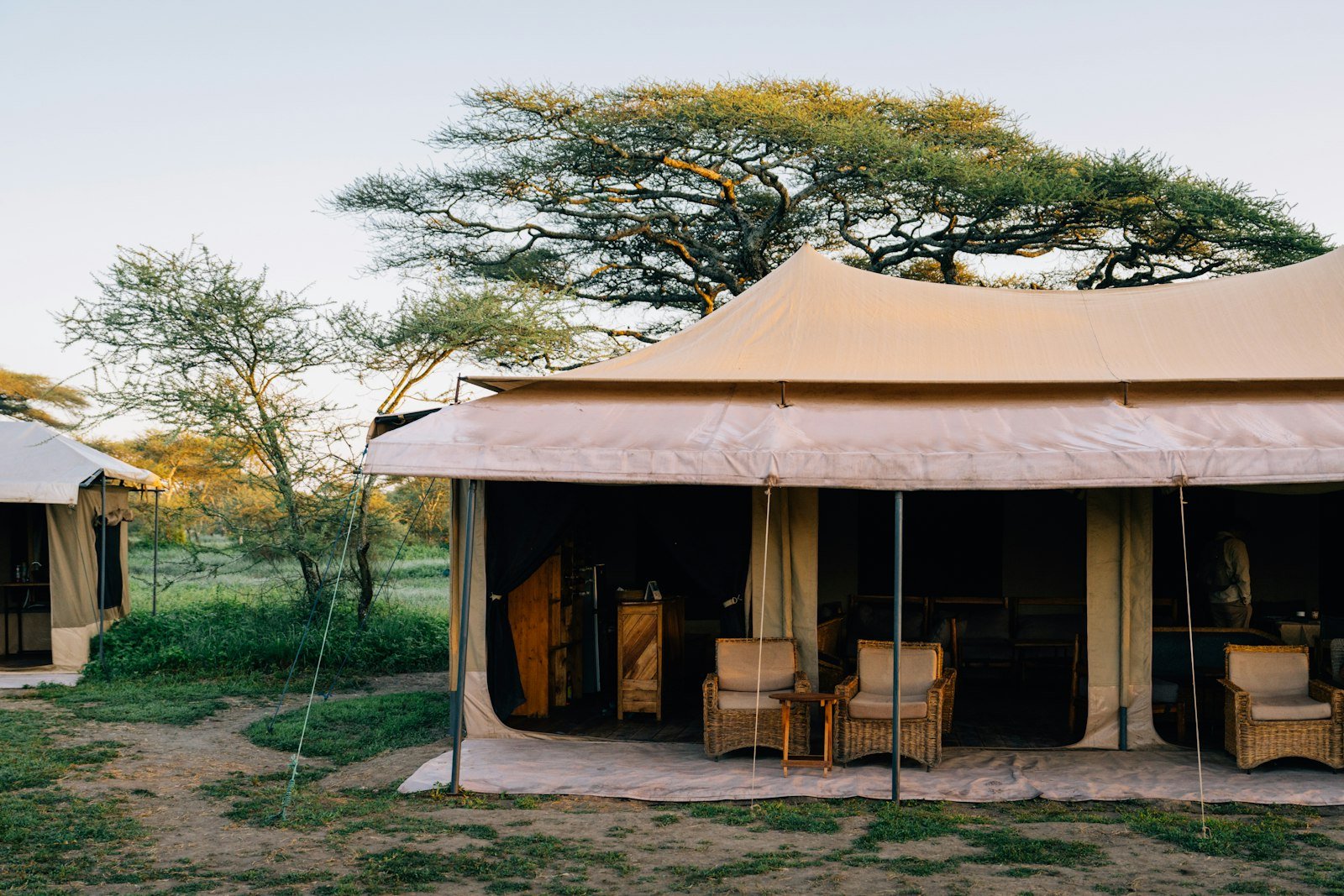 Luxury tented camp at the jungle's edge