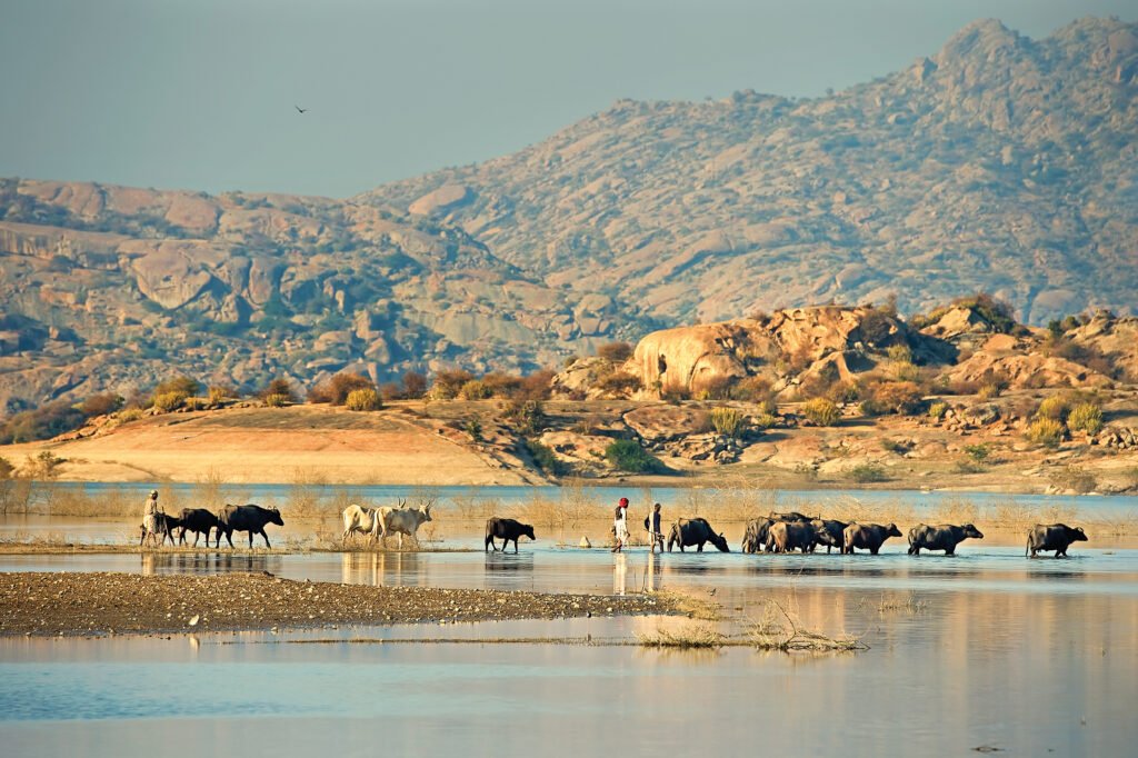 Jawai